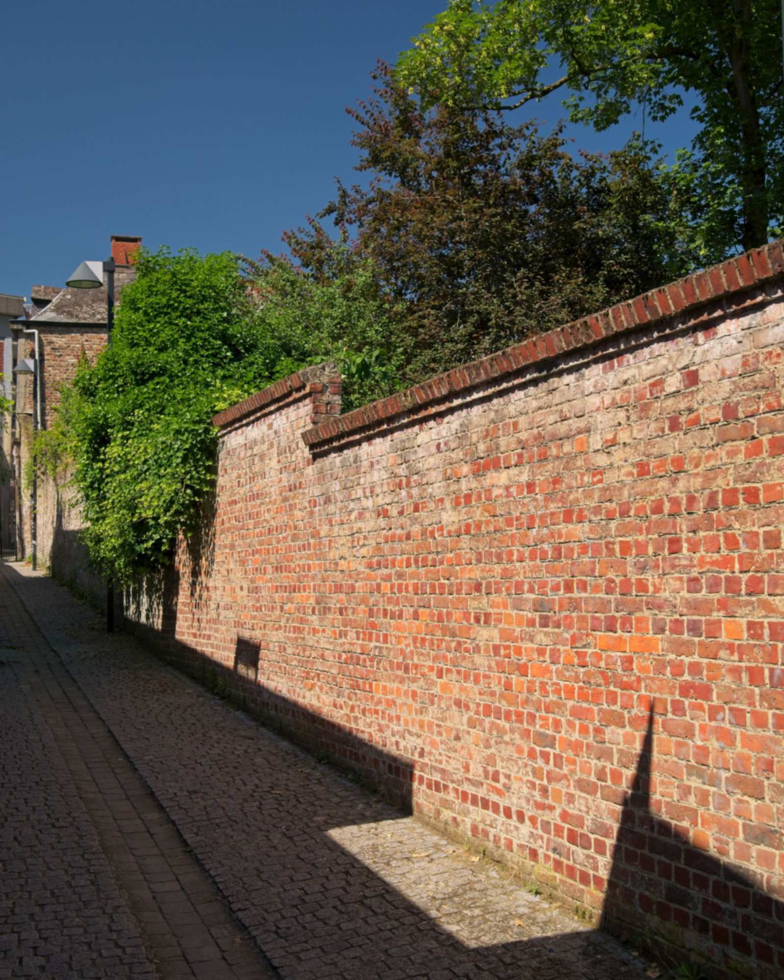 Tall red brick privacy wall with a brick coping lining a sunlit paved walkway